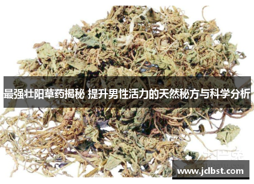 最强壮阳草药揭秘 提升男性活力的天然秘方与科学分析